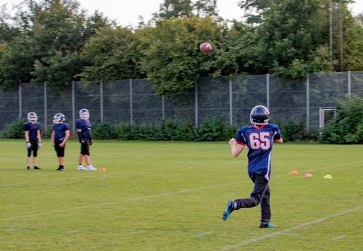 IMG 8763