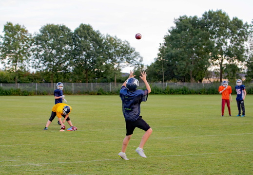 IMG 8770
