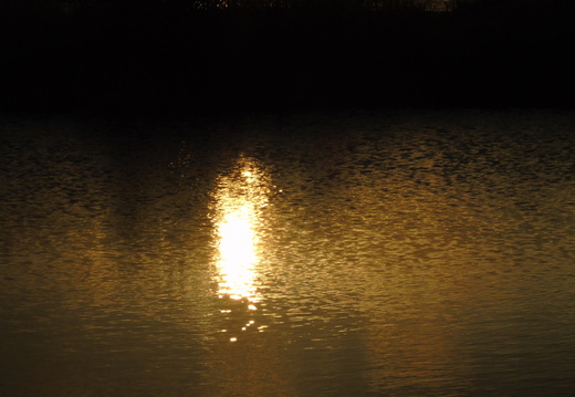 DSC05075