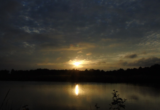 DSC05074