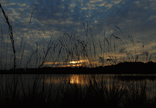 DSC05061