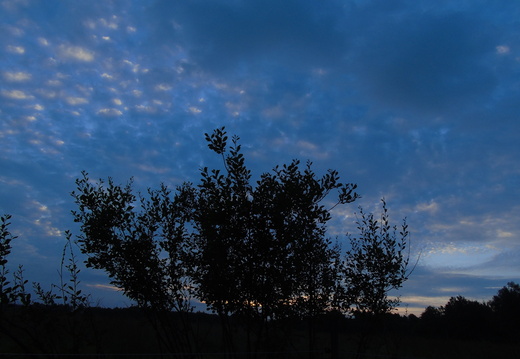 DSC05041