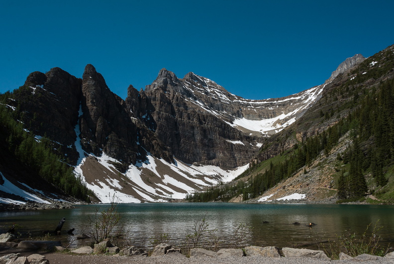 DSC_0062.jpg