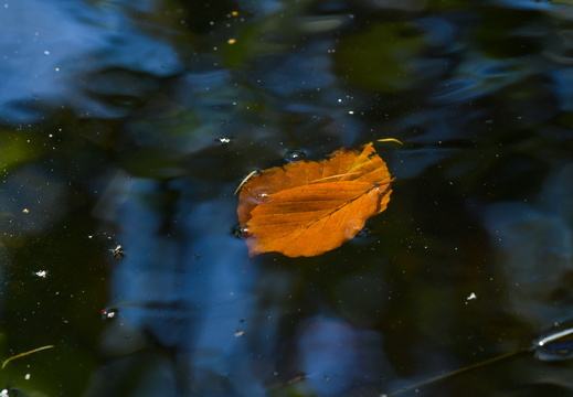 x (15 of 26)