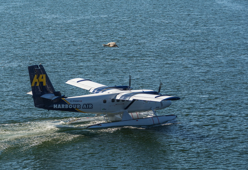 DSC_2393.jpg