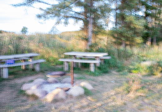 IMG 9833