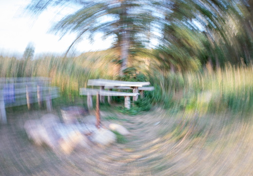 IMG 9834