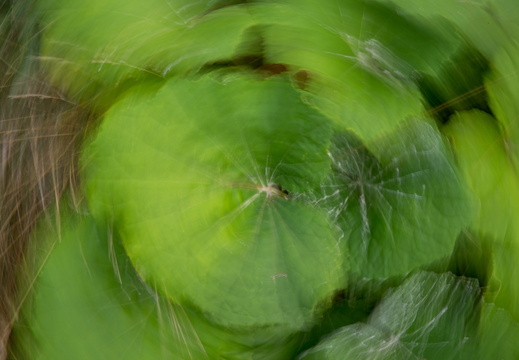 IMG 9838