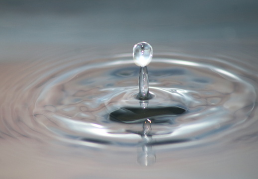 IMG 8927