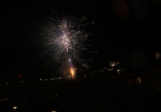 IMG 7641