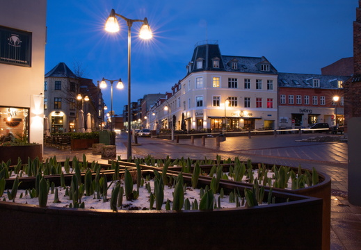 IMG 0076