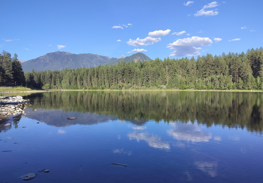 Lily Vogelsang - Spejlinger 3