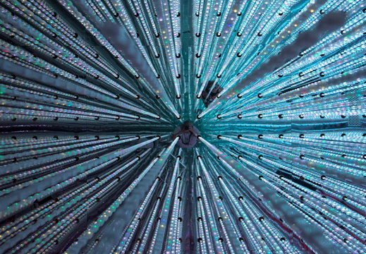 Lise Engskov - Spejlinger