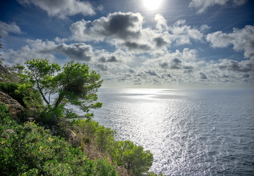 Torben Jensen - Detaljer